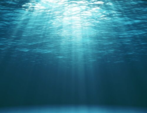 Lexan Underwater Protection